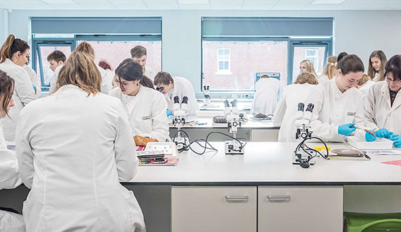 Photo of students studying in a laboratory