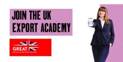 DBT: UK Export Academy Sector & Market