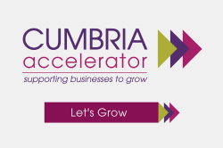Cumbria Accelerator: Fully-funded business support sessions for Cumbrian businesses