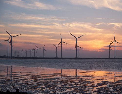 Businesses Invited to Explore Offshore Wind Opportunities