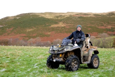 Photo of a man and dog sitting in a buggy on farmland